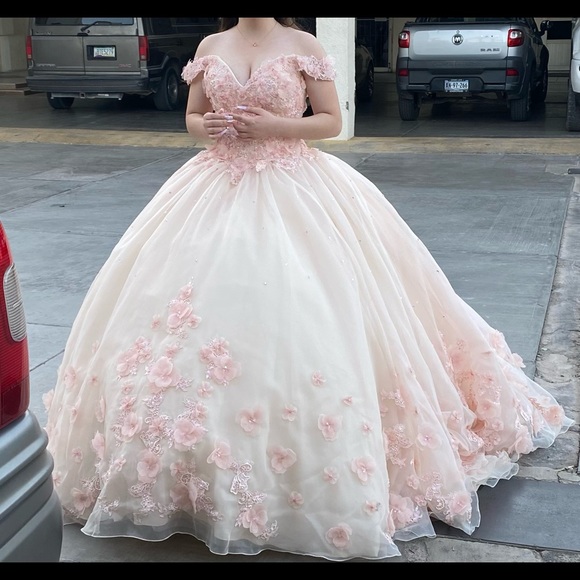 Quinceaños dress - Picture 1 of 2